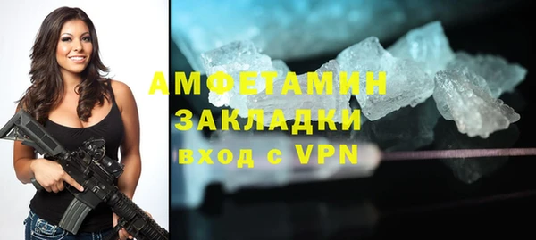 шишки Алексин