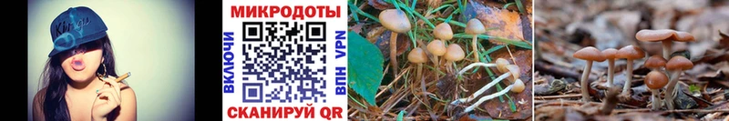Купить закладки  Тарко-Сале  Псилоцибиновые грибы Magic Shrooms 